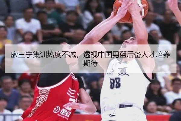 廖三宁集训热度不减，透视中国男篮后备人才培养期待