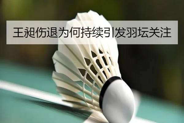 王昶伤退为何持续引发羽坛关注